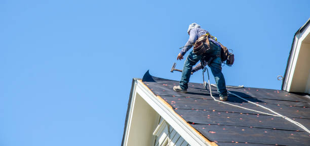 Protect Your Investment: A Comprehensive Roof Replacement Guide