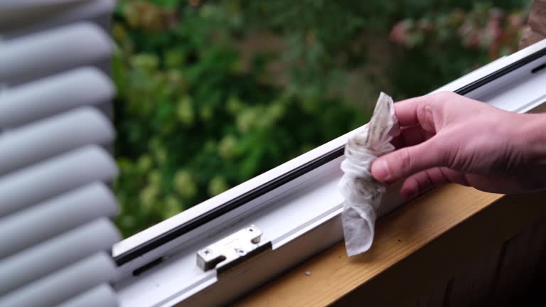 Top Benefits of Professional Window Replacement