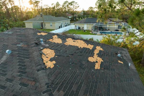 Affordable and Reliable Roof Replacement in Brighton for Peace of Mind