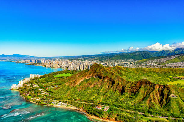 Snorkeling Escapades Turtle Tours in Oahu