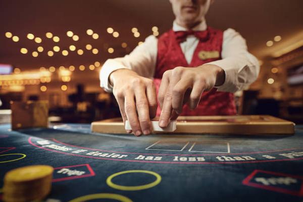 How to Explore Casino Website Options More Effectively